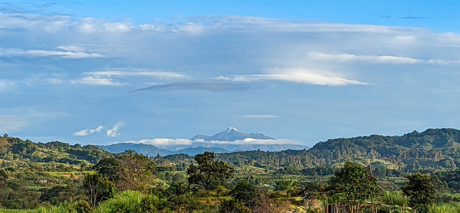MAURICIO CRUZ CHAVARRO