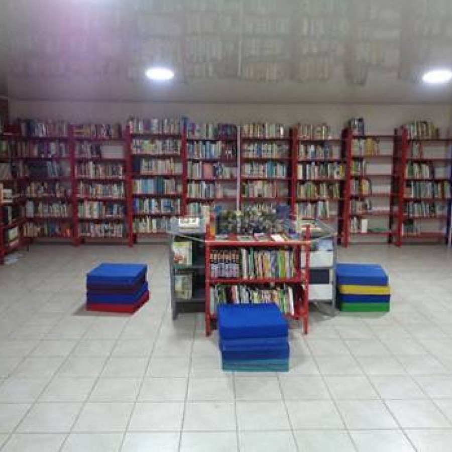 BIBLIOTECA PÚBLICA MUNICIPAL JULIAN POLANIA PEREZ -PALERMO