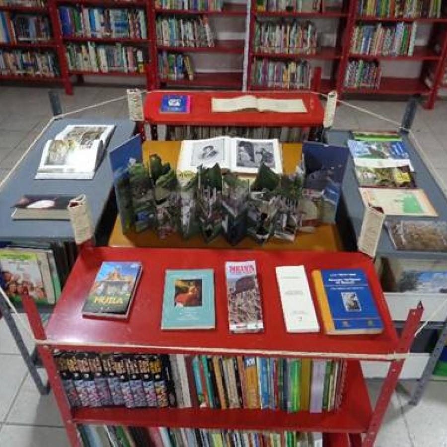 BIBLIOTECA PÚBLICA MUNICIPAL JULIAN POLANIA PEREZ -PALERMO