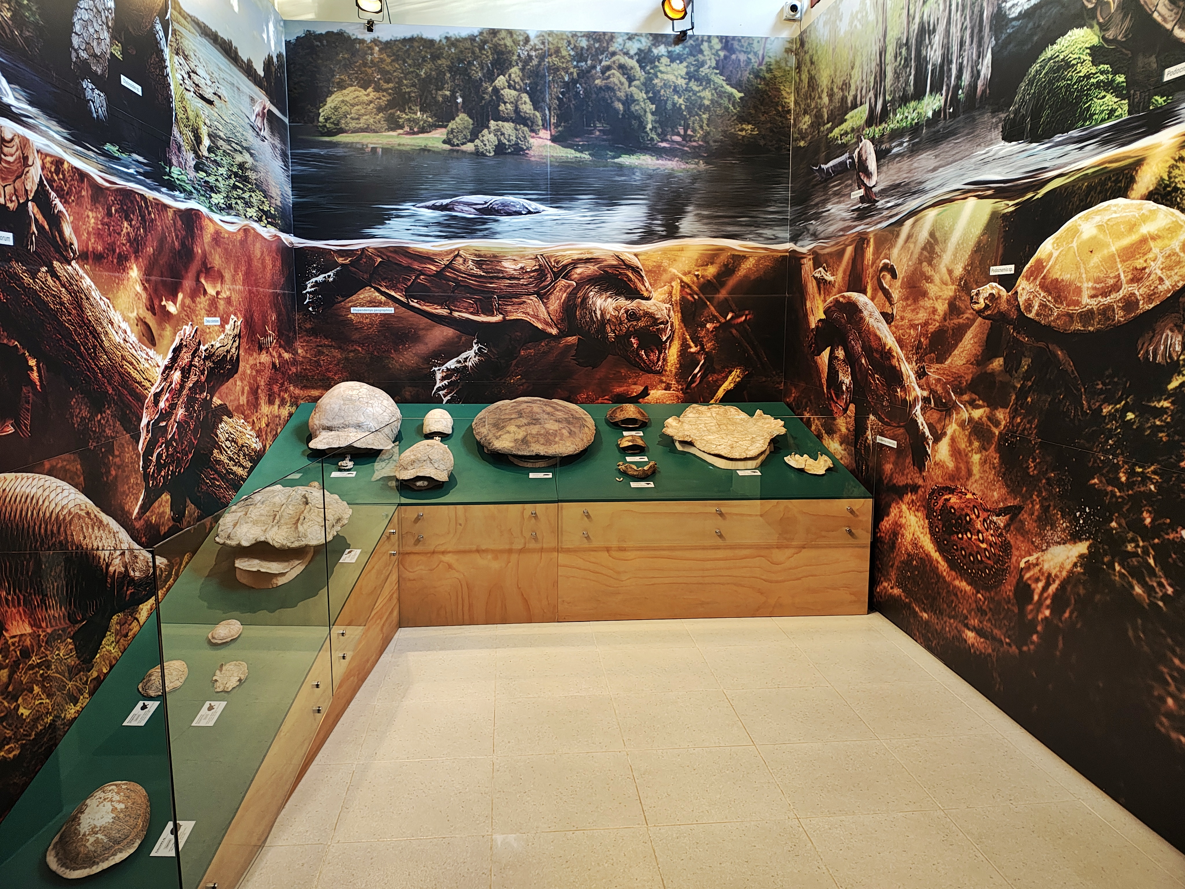 MUSEO DE LA TATACOA