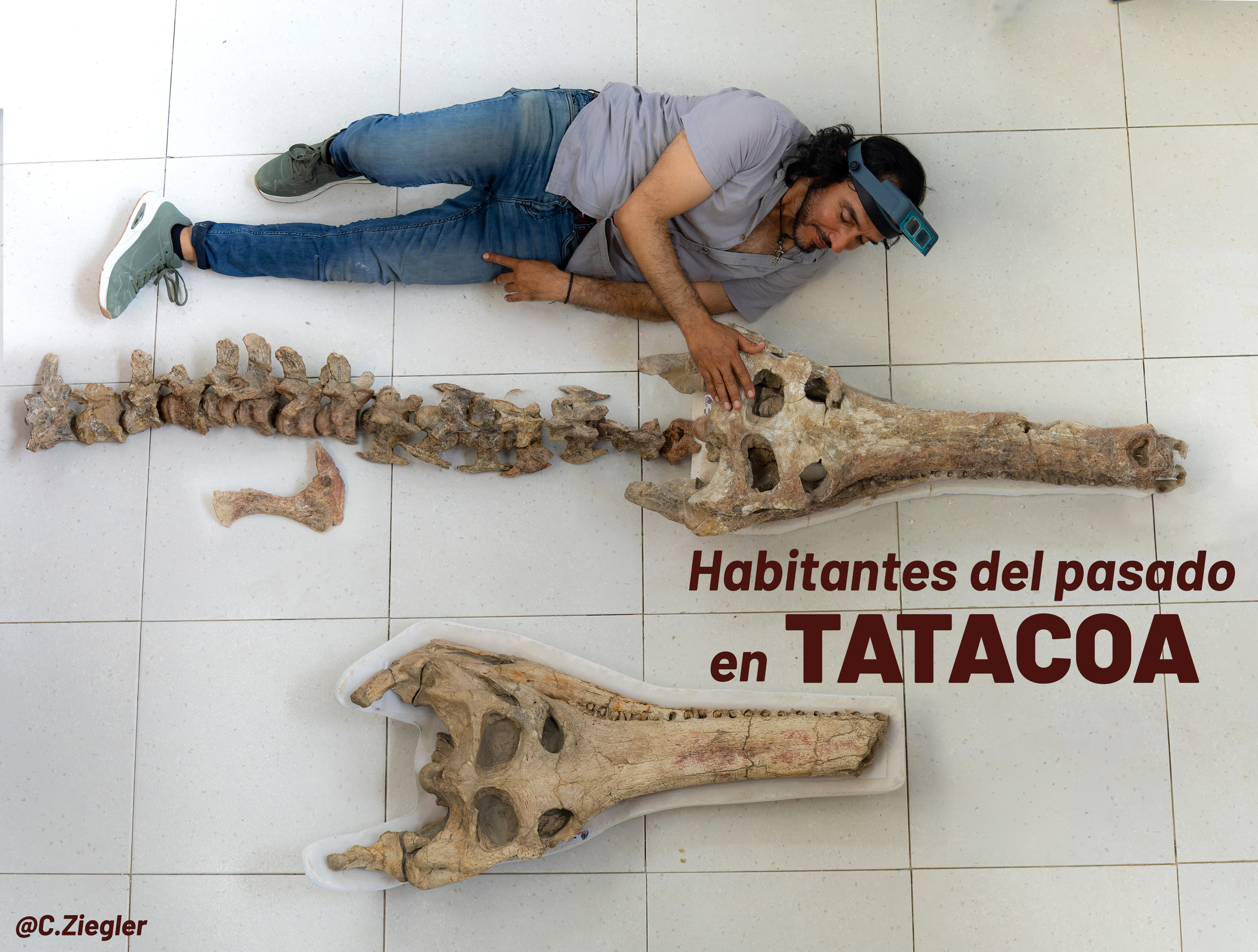 MUSEO DE LA TATACOA
