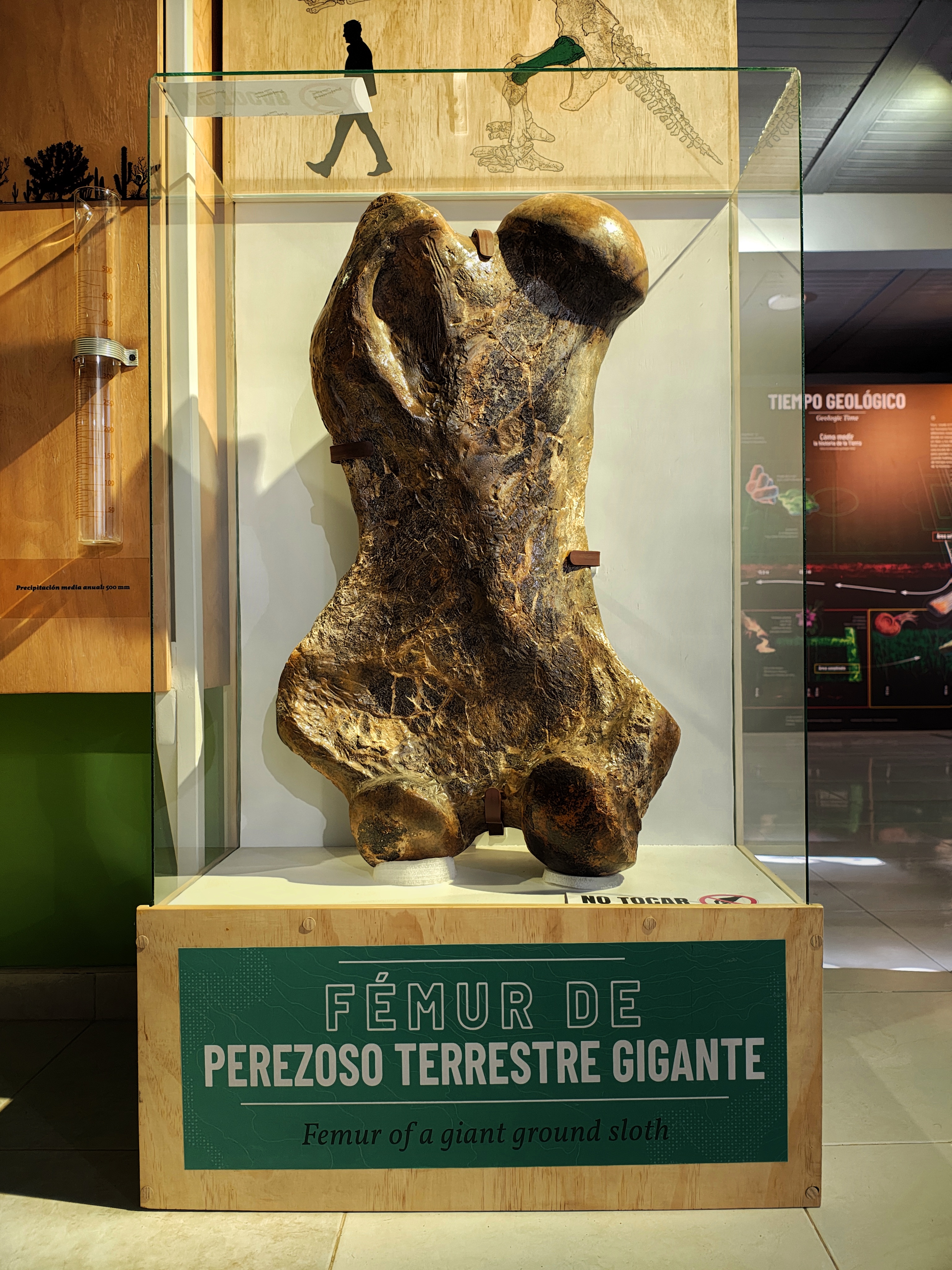 MUSEO DE LA TATACOA