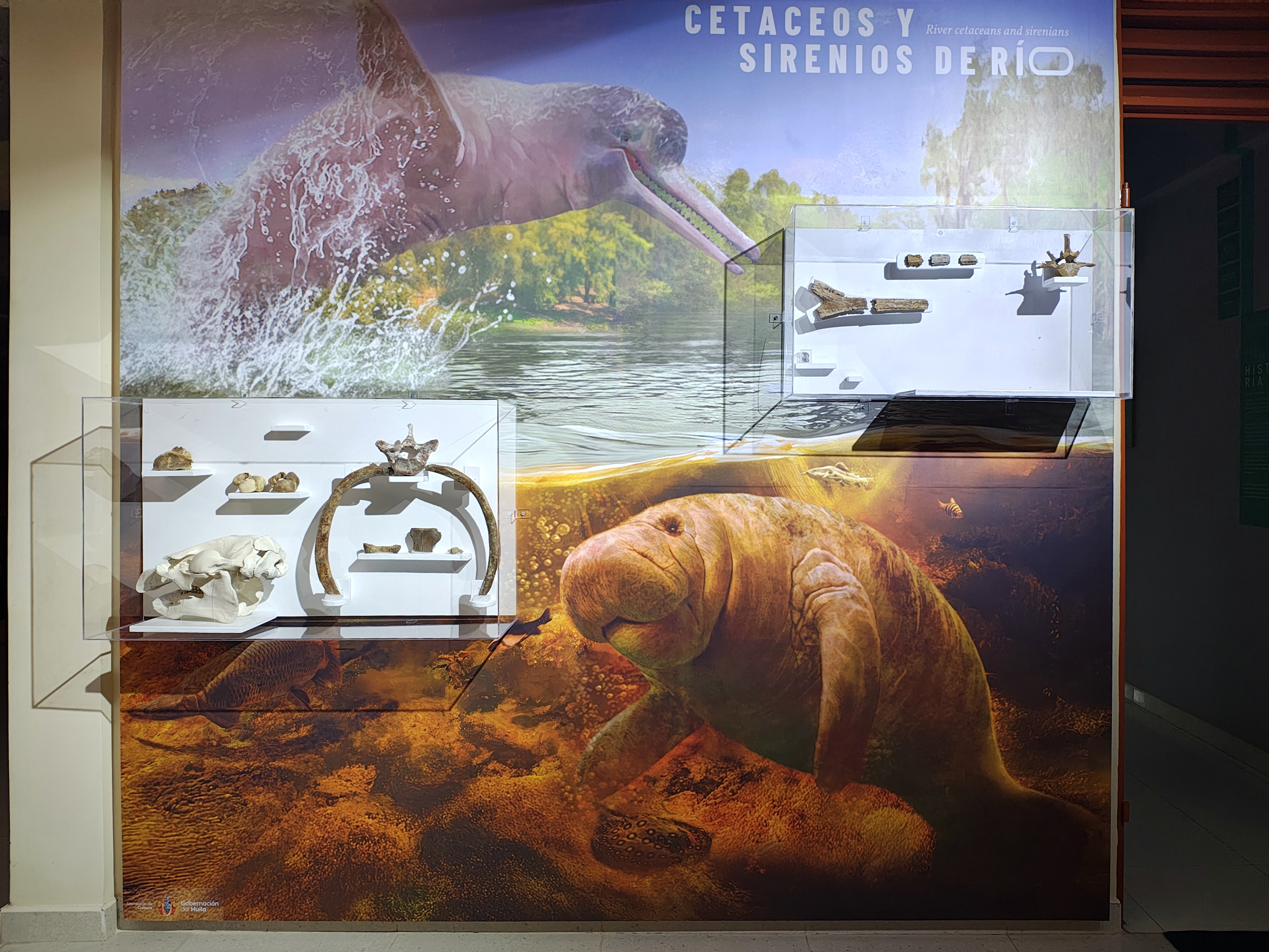 MUSEO DE LA TATACOA