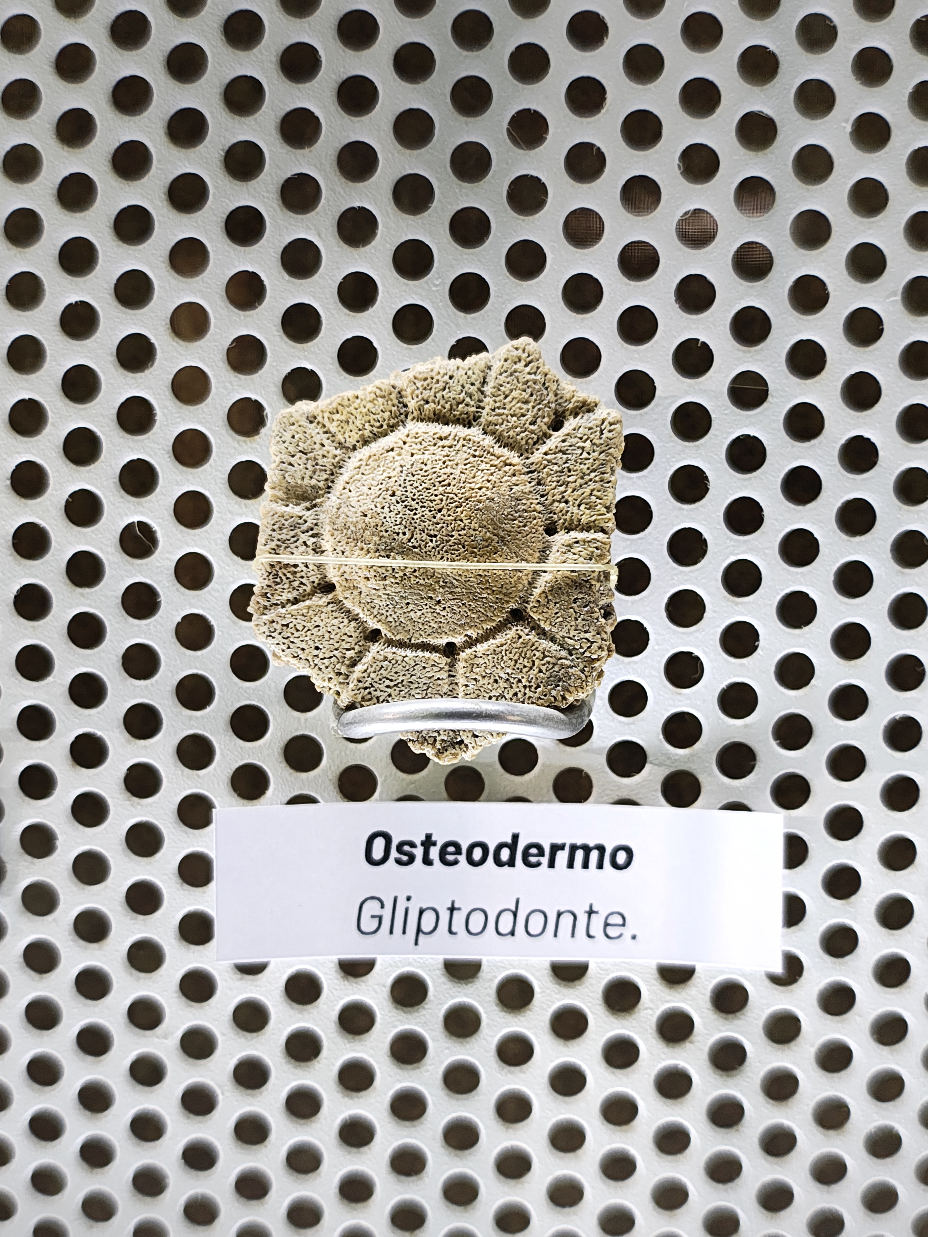 MUSEO DE LA TATACOA