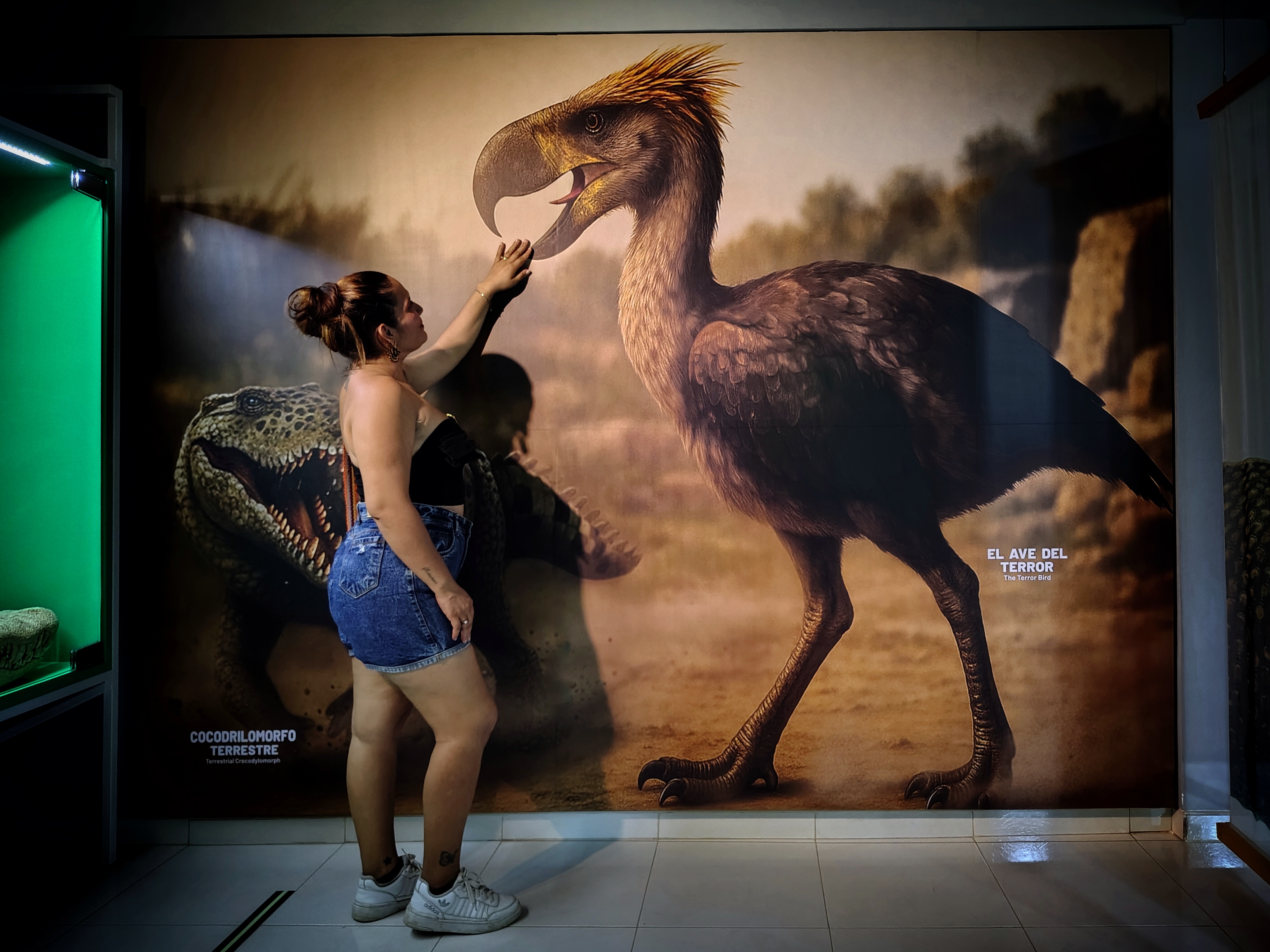 MUSEO DE LA TATACOA