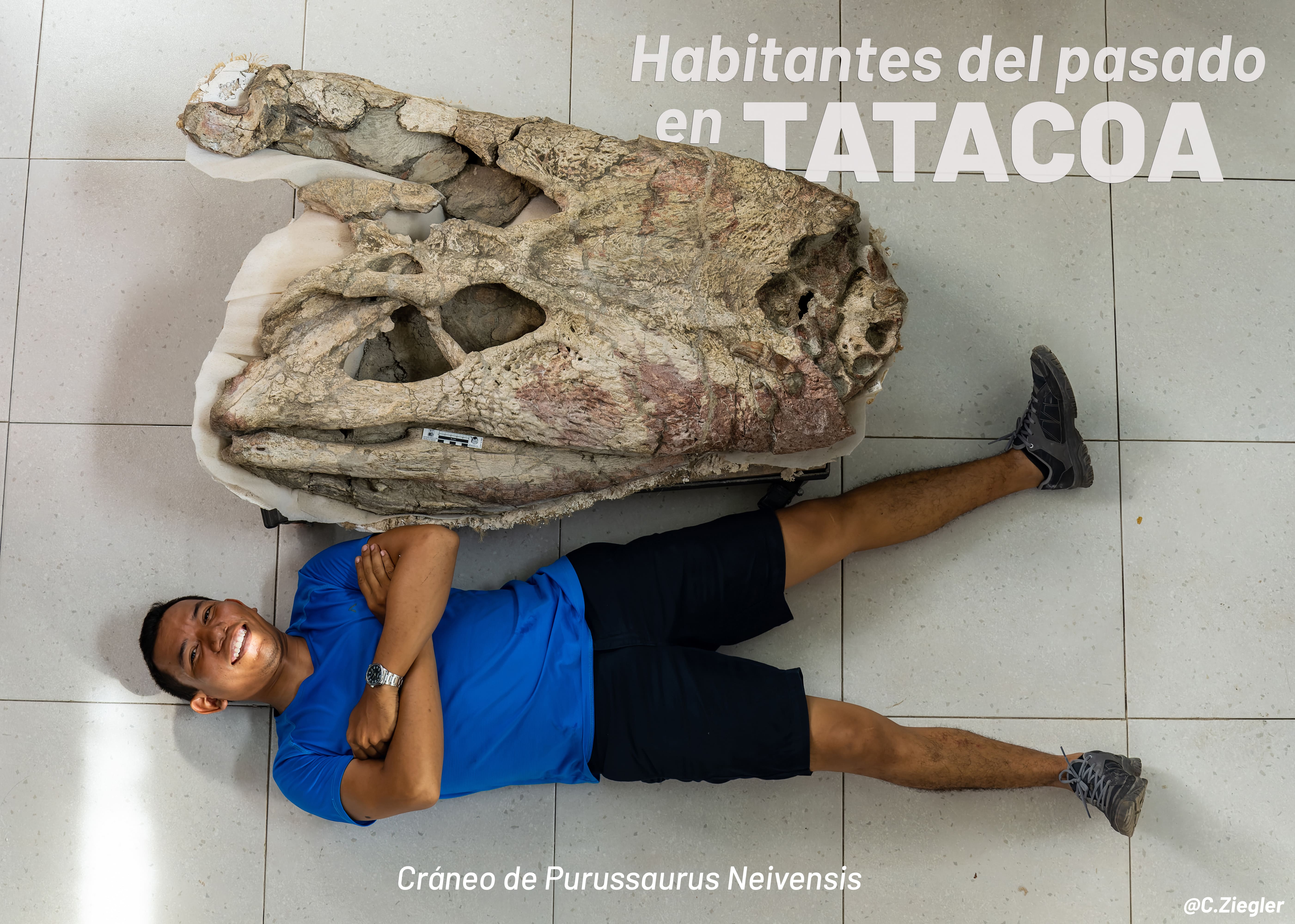 MUSEO DE LA TATACOA