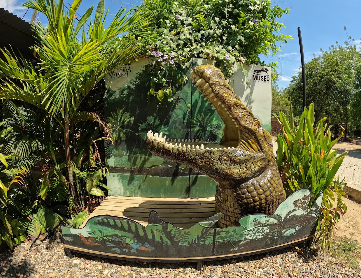 MUSEO DE LA TATACOA