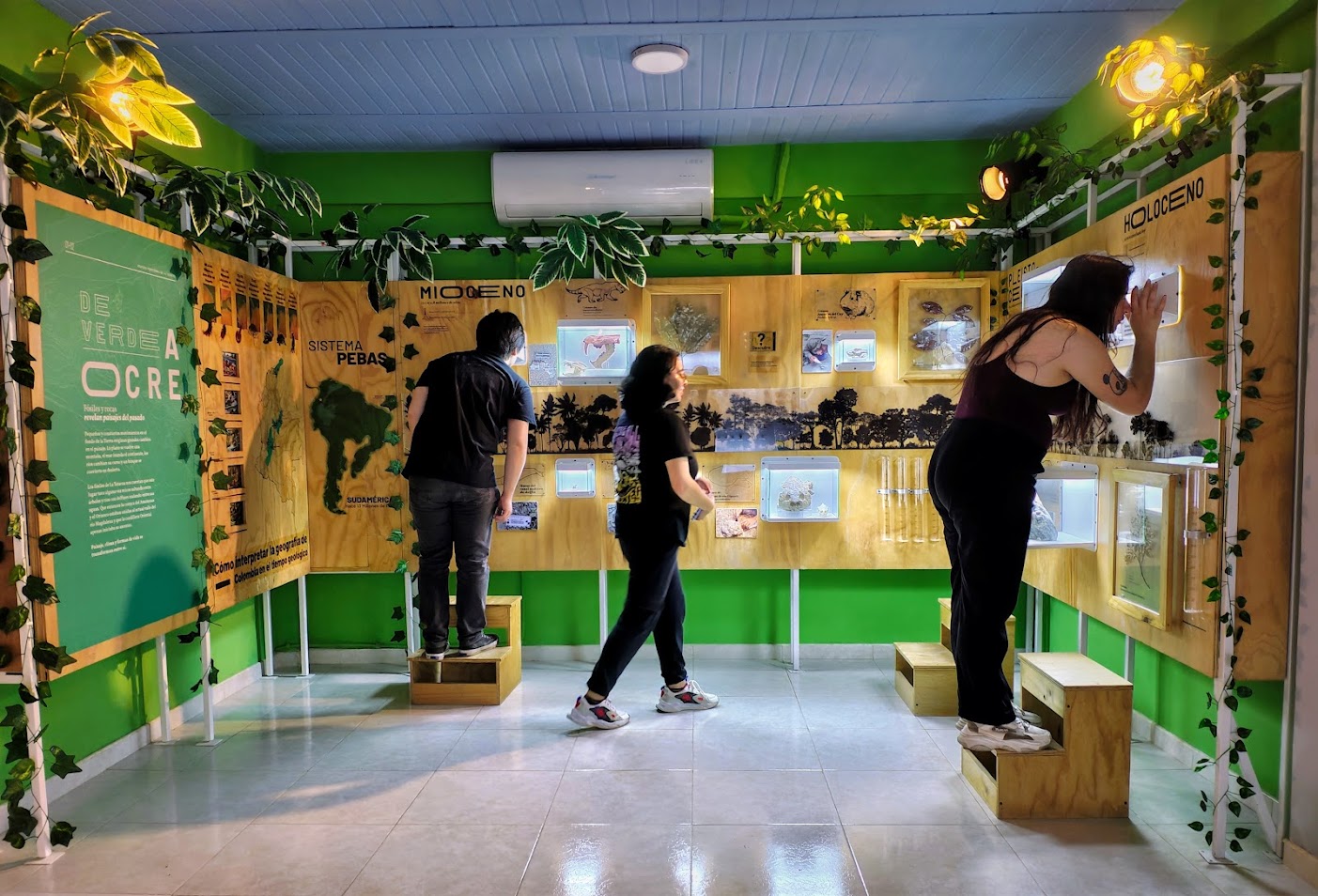 MUSEO DE LA TATACOA