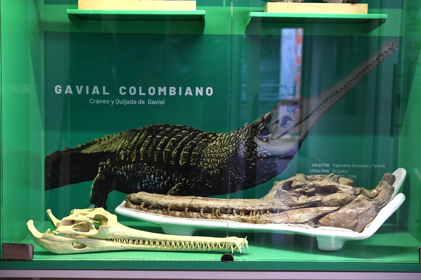 MUSEO DE LA TATACOA