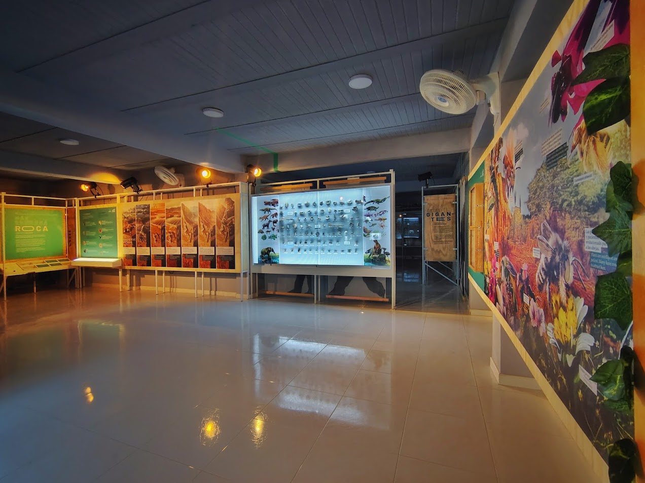 MUSEO DE LA TATACOA