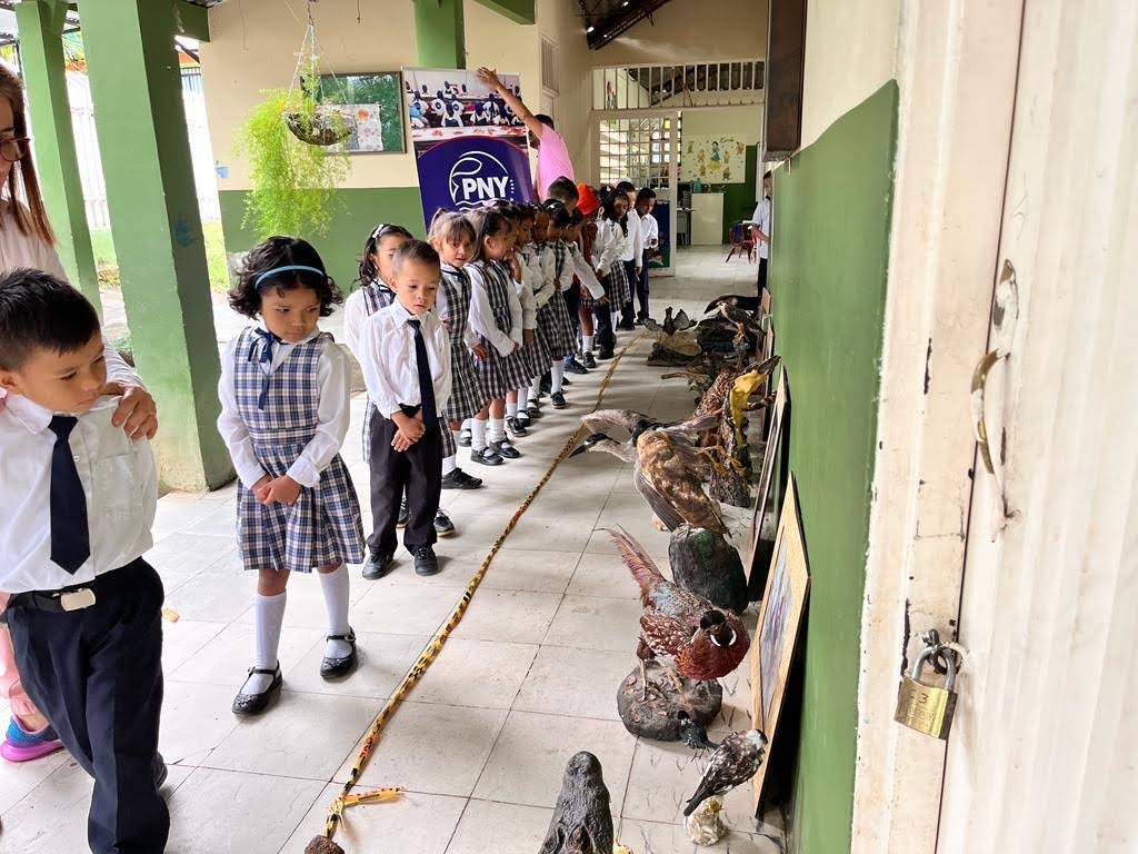 CORPORACIÓN MUSEO DE HISTORIA NATURAL MARIA BELÉN RIVERA GUALY MBRG